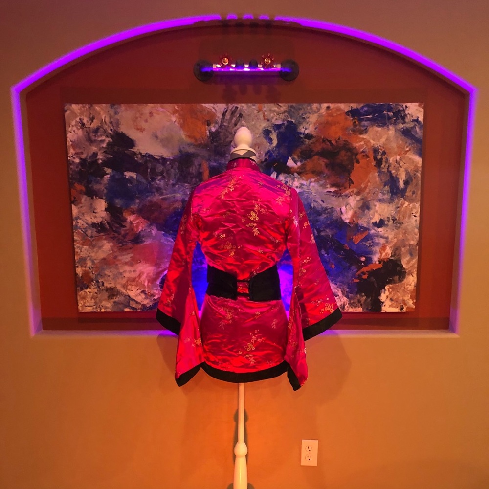 Geisha Costume - Picture 2 of 3